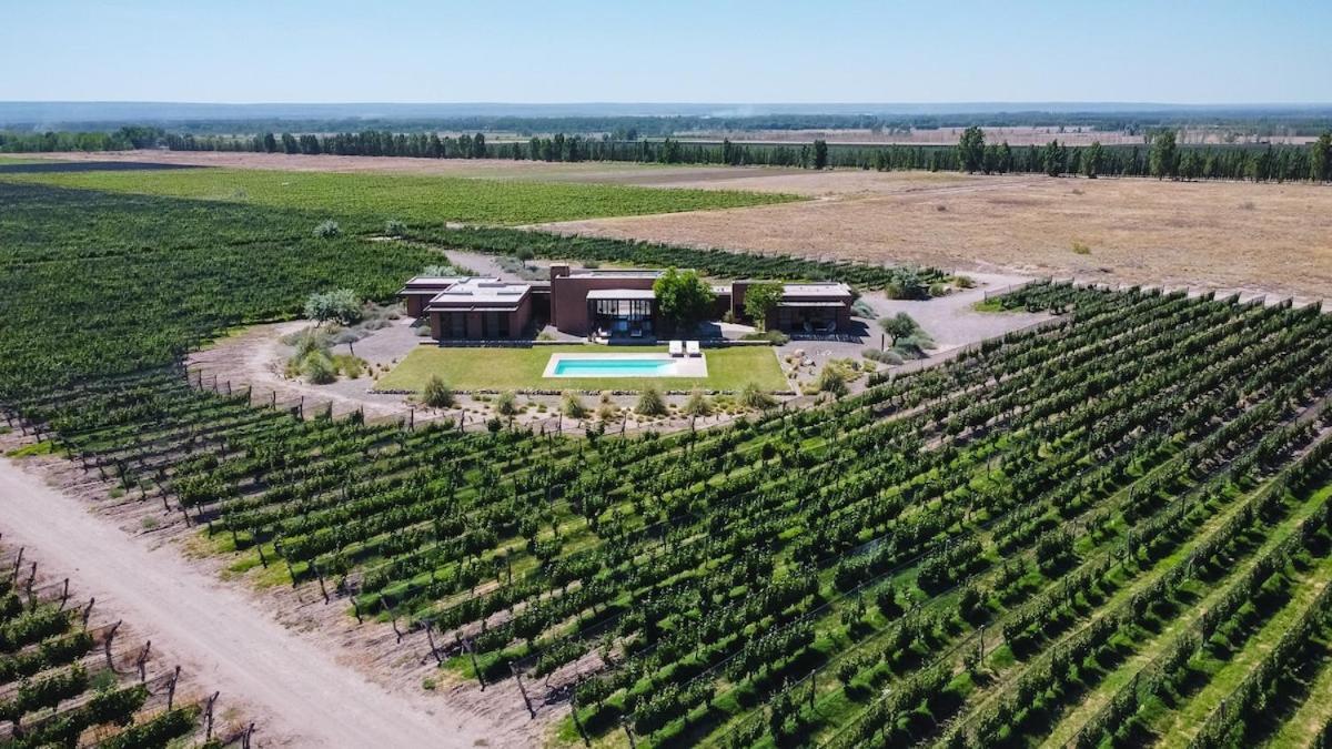 Casa Crux - Bodega Alfa Crux Villa Eugenio Bustos Buitenkant foto